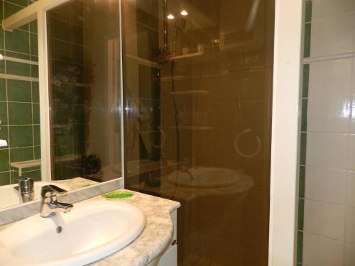 ein Bad mit einem Waschbecken und einer Dusche in der Unterkunft Appartement Bormes-les-Mimosas, 3 pièces, 6 personnes - FR-1-251-771 in Bormes-les-Mimosas