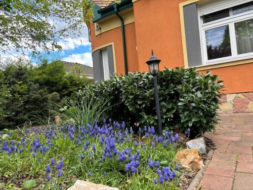a garden with purple flowers in front of a house at Giovanni's Airport House in Budapest