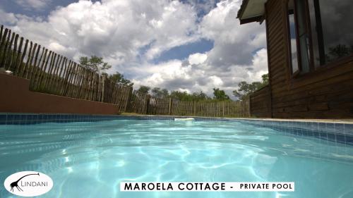 a large swimming pool in front of a fence at Lindani Game and Lodges in Vaalwater