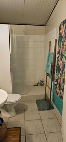 y baño con ducha, aseo y lavamanos. en SWEET SPOT en Saint-Laurent du Maroni