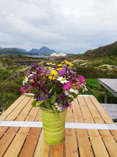 a green vase filled with flowers sitting on a table at Unique private cabin in Lofoten in Leknes