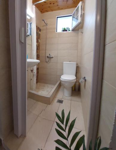 a bathroom with a toilet and a sink at Old Town Traditional Residence in Kavala
