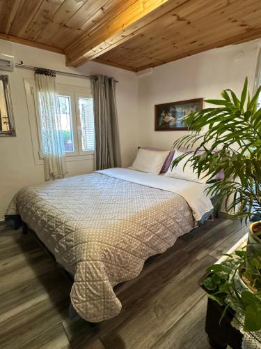 a bedroom with a bed and a potted plant at Old Town Traditional Residence in Kavala