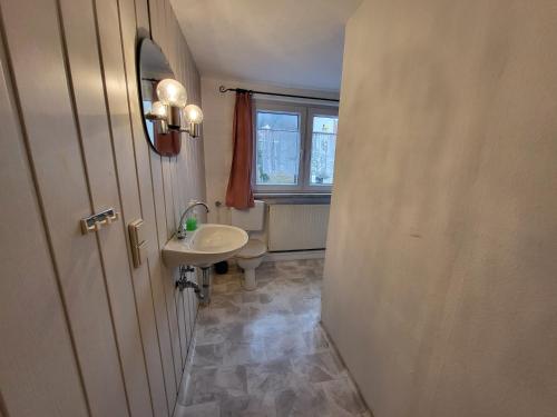 a bathroom with a sink and a toilet and a window at Gasthaus Rennsteig in Kurort Steinbach-Hallenberg