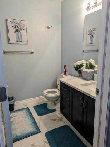 a bathroom with a toilet and a sink and a mirror at The Love Love Stay in Edmonton