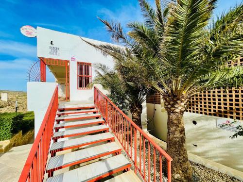 Seafront apartment in La Garrofa near the beach في La Garrofa: درج يؤدي لمبنى فيه نخلة