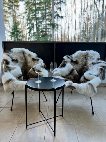 Domácí mazlíčci ubytovaní s hosty v ubytování Foxi apartment, Pohorje