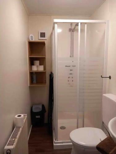 a bathroom with a shower and a toilet at Lodge Damian op de Veluwe in Voorthuizen