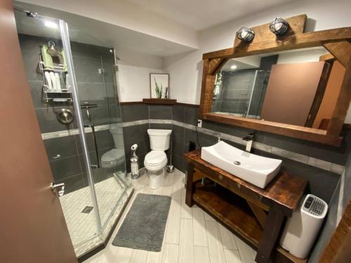 La salle de bains est pourvue d'une douche, de toilettes et d'un lavabo. dans l'établissement Rustic Poconos Winding Way Chalet, à Albrightsville