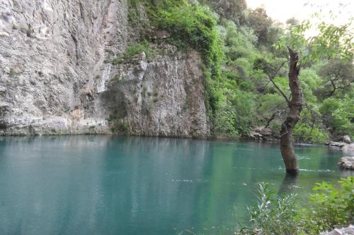 Φυσικό τοπίο κοντά σε αυτό το διαμέρισμα