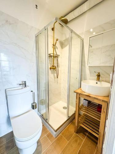 une salle de bain avec une douche, des toilettes et un lavabo dans l'établissement NEW: Nature et Lumière _ Face à la Gare _ Centrale, à Guingamp