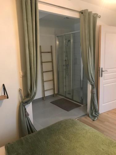 a bathroom with a shower with a glass door at Home Antonin & Maye in Tonnerre