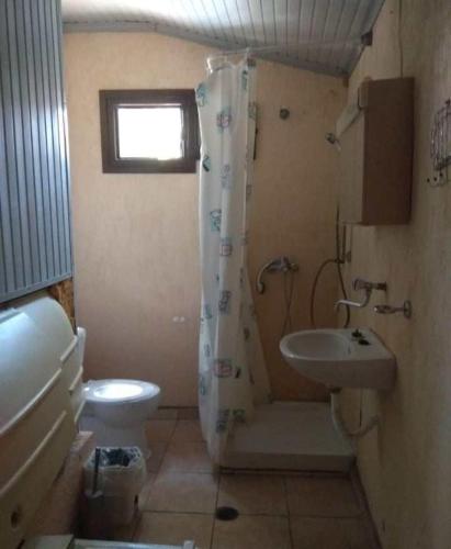 y baño con aseo, lavabo y ducha. en Rent House: Velanidiá, en Makryámmos