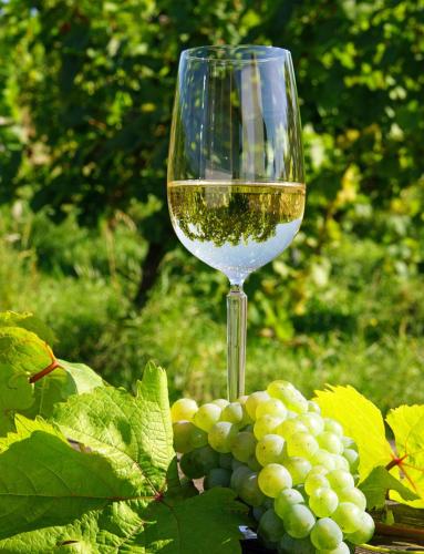 a glass of white wine next to a bunch of grapes at Eifelferienwohnungen "Familie Saxler" in Bereborn