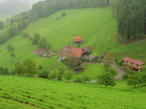 Cosy farmhouse apartment at the edge of the forest في Mühlenbach: منزل على تل في حقل أخضر