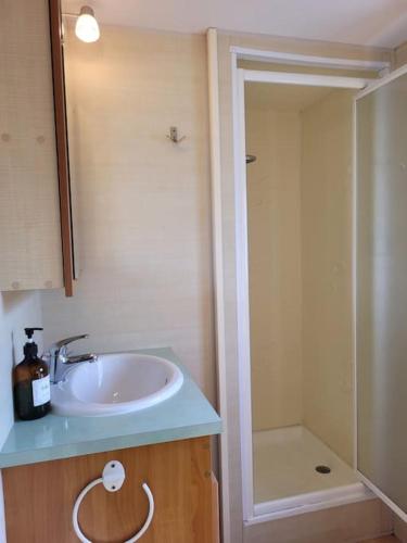une salle de bain avec un lavabo et une douche dans l'établissement Mobile home à 200m de la mer dans camping familial avec piscine, jeux et activités, à Pornic