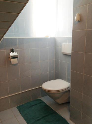 a bathroom with a toilet and a green rug at Ferienhof Kriechbaumer in Schönau im Mühlkreis