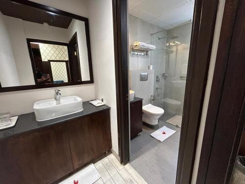 a bathroom with a sink and a toilet and a mirror at The Orchid Shimla in Shimla