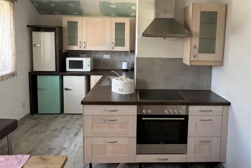 een keuken met een wastafel en een fornuis top oven bij Haus am Feistritz See in Feistritz ob Bleiburg