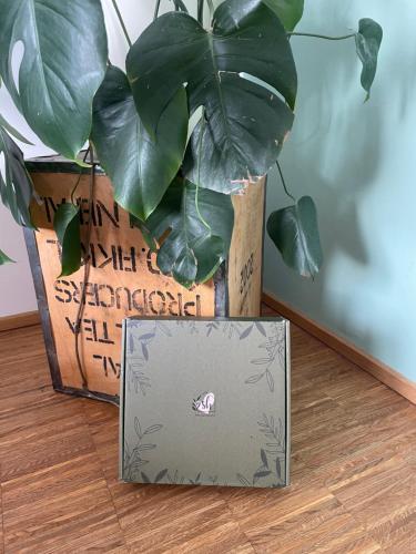 a plant in a box sitting on a floor at Penthouse-Wohnung mit Flussblick in Oldenburg