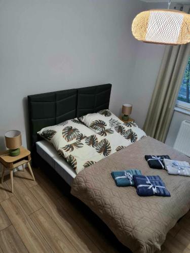 1 dormitorio con 2 almohadas en NATURA apartament en Malbork