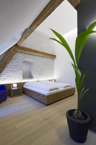 a bedroom with a bed and a potted plant at Appartement-Hotel GH Zum Goldenen Schiff in Enns