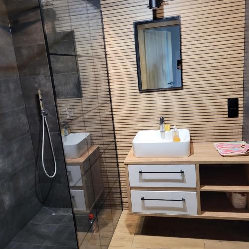 een badkamer met een wastafel en een douche bij NATURA apartament in Malbork