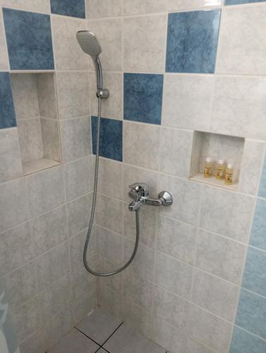 eine Dusche mit Duschkopf im Badezimmer in der Unterkunft Lefakis cottage in Órmos