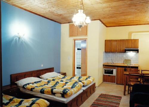 2 camas en una habitación con cocina y comedor en Epavli Antonis, en Konitsa