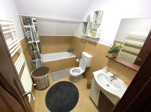 a small bathroom with a toilet and a sink at Apartament Central, Năsăud in Năsăud