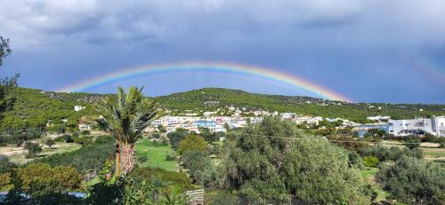 a rainbow over a city with a palm tree at Possidon in Agia Marina Aegina