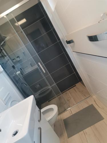 a bathroom with a toilet and a sink at Minidomeček Páteček in Klatovy