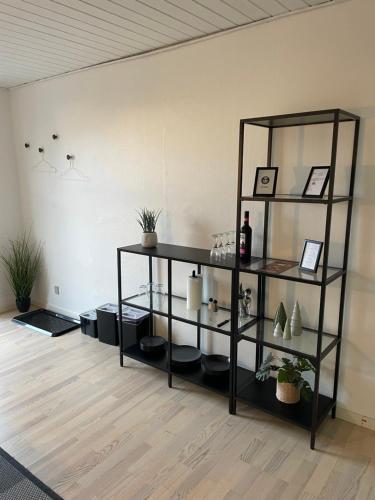a black book shelf with bottles and plants in a room at Værelser i Fynshav in Augustenborg