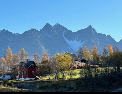 een rood huis in een veld met bergen op de achtergrond bij Mini Lyngen in Jægervatnet