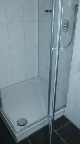 a shower with a glass door in a bathroom at Alpenappartement Berger in Steibis