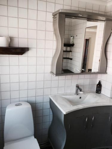 a bathroom with a toilet and a sink and a mirror at Mullbärsgårdens Bed and Breakfast in Visby