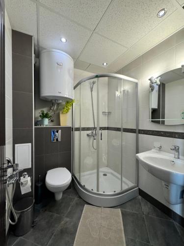 a bathroom with a shower and a toilet and a sink at Sunshine apartment in Shkorpilovtsi