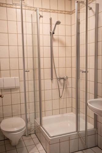 y baño con ducha y aseo. en Cafe Alte Backstubn, en Spalt