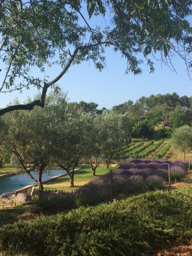 a garden with trees and purple flowers and a river at Château de Berne in Lorgues
