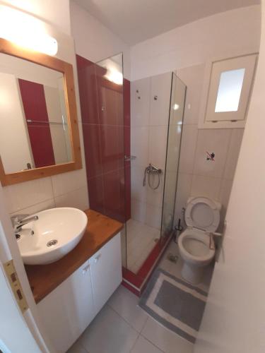 a bathroom with a shower and a toilet and a sink at Ένα παράθυρο στο Αιγαίο. in Kokkari