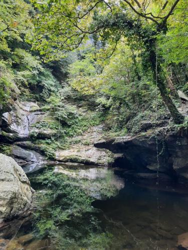 a river in a forest with rocks and trees at Haus Andreas in Néa Meságkala