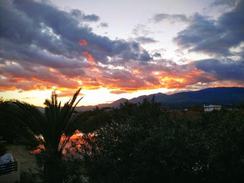 a sunset with a palm tree in the foreground at Haus Andreas in Néa Meságkala