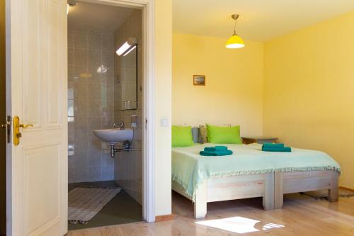 - une chambre avec un lit, une douche et un lavabo dans l'établissement Raibie Logi, à Ventspils