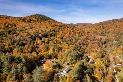 an aerial view of a forest with fall foliage at Blueberry Hill Escape Pet Friendly HotTub Fire pit in Bridgewater