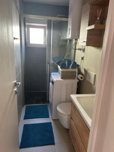 a bathroom with a shower and a toilet and a sink at Holiday house Matej in Vir