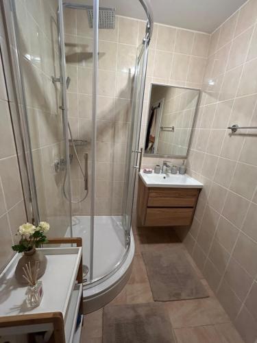 a bathroom with a shower and a sink at Holiday house Matej in Vir