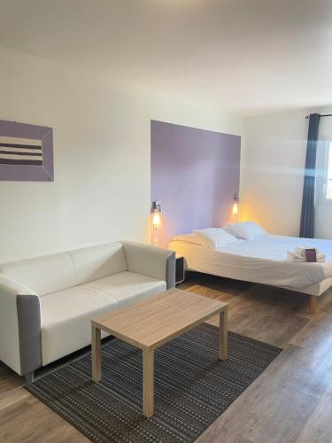 Hôtel Némo Aéroport de Pau - KB HOTEL GROUP في Sauvagnon: غرفة معيشة مع أريكة وسرير