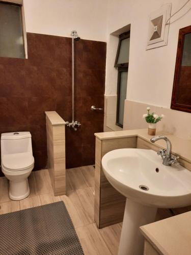 a bathroom with a sink and a toilet and a shower at Bhurban Valley Cottages 2 in Bhurban