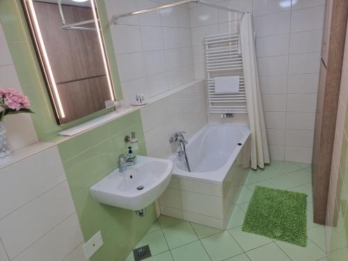 La salle de bains est pourvue d'un lavabo et d'une baignoire. dans l'établissement HIDDEN GEM Ljubljana, à Ljubljana