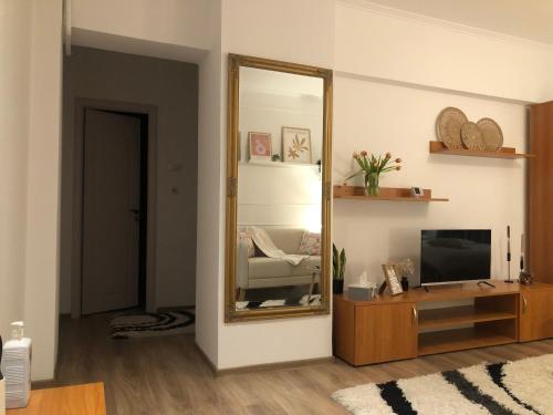 uma sala de estar com um espelho e uma televisão em TIF Studio em Râmnicu Vâlcea
